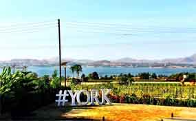 York Winery & Tasting Room